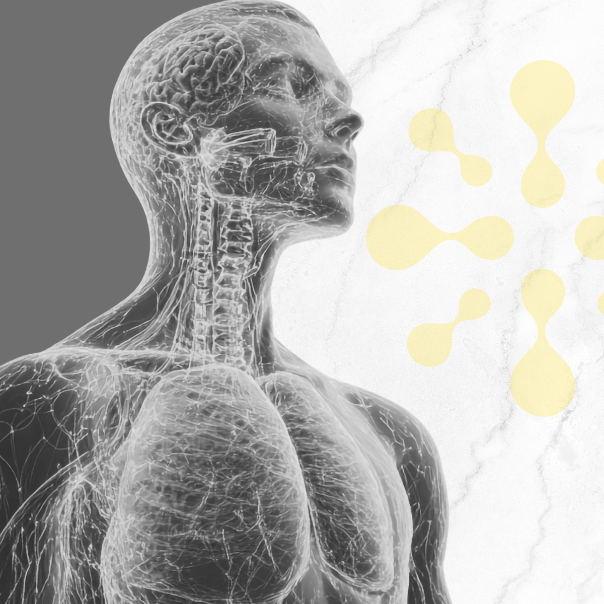 Anatomical illustration of a human body with a focus on the nervous system, surrounded by abstract yellow shapes.