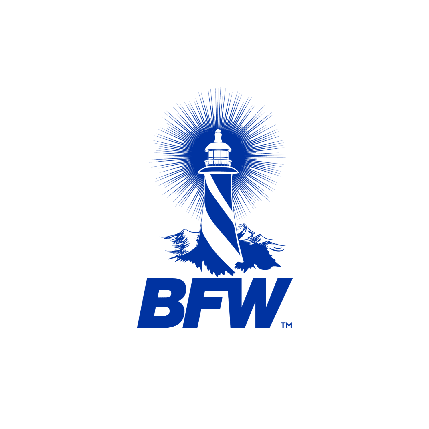 BFW Surgical Headlights