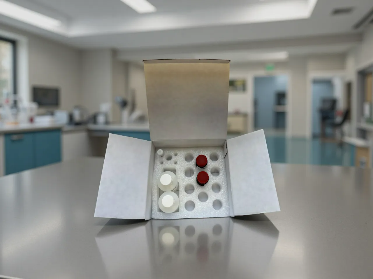 Salicylate Assay Kit (K9001)