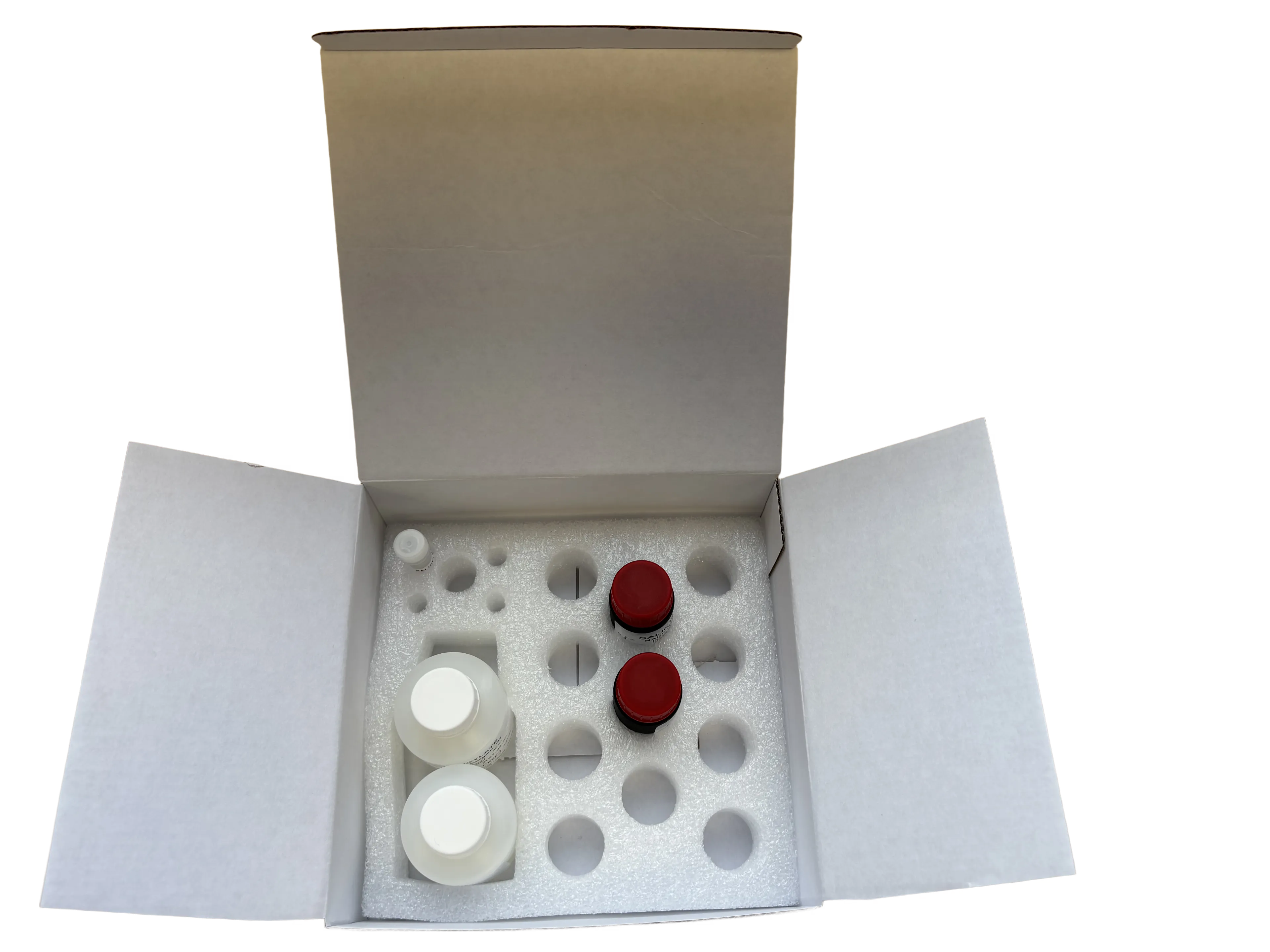 Salicylate Assay Kit (K9001)