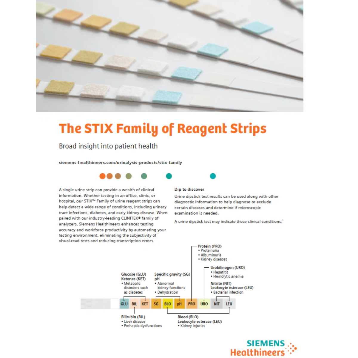 Siemens Multistix® 8 SG Urinalysis Reagent Strips – 8 Parameter Test Strips (Pack of 100)